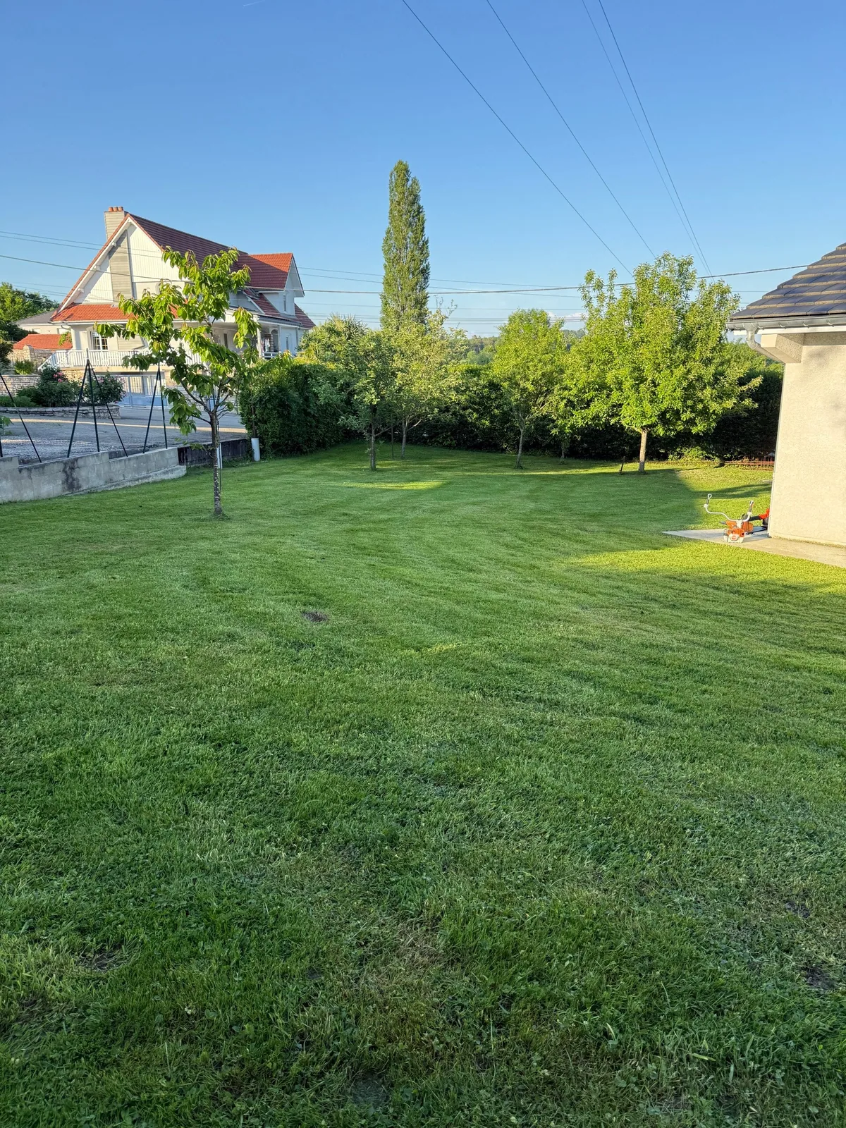 Pelouse entretenue dans un jardin arboré