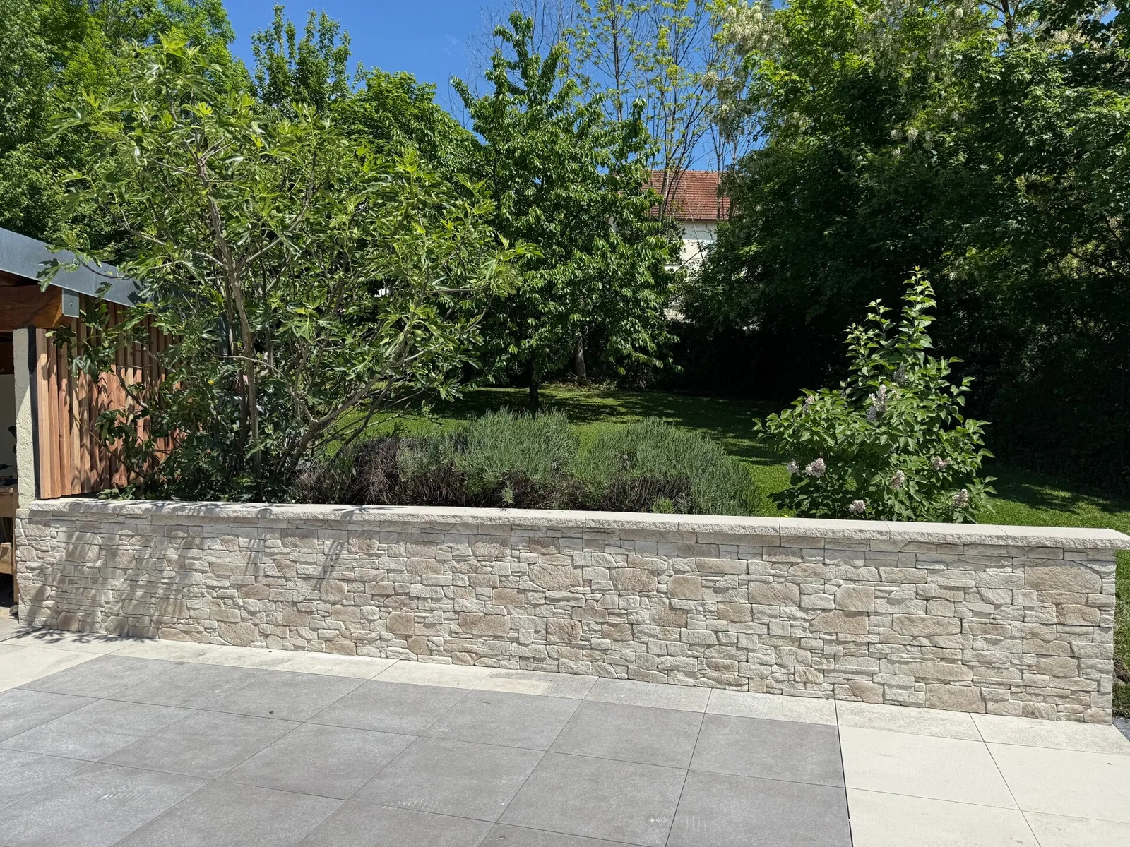 Végétation dans un jardin aménagé par BP Multi Services
